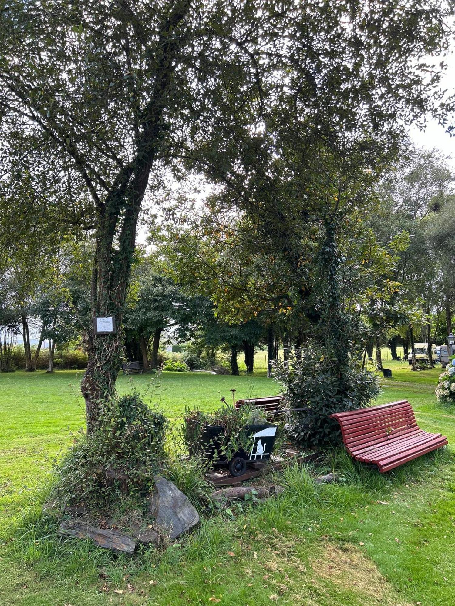 Camping A Grandella El Franco Exterior photo